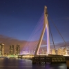 V4 startup napot szervez Rotterdamban a holland AltEx csoport